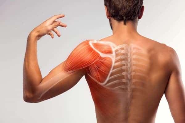 chirurgie epaule paris docteur patrick houvet chirurgien orthopediste specialiste main specialiste epaule paris chirurgie epaule paris docteur patrick houvet chirurgien orthopediste specialiste main specialiste epaule paris