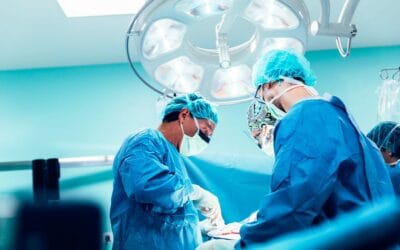 L’impact des biais cognitifs